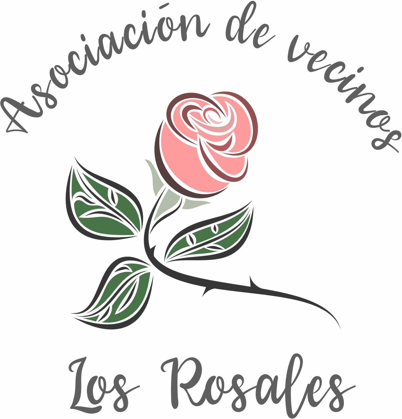 ¡Arranca el nuevo curso en Los Rosales: más actividades y novedades!